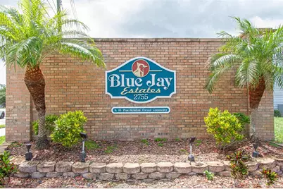 161 Hickory Gate Drive, Palm Harbor, FL 34684 - Photo 31