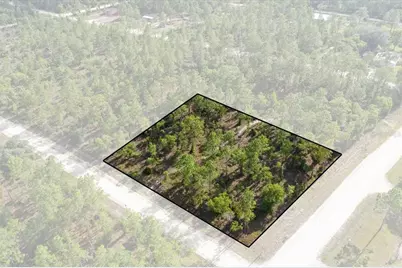 0000 NE 132 Terrace Lot 1 Terrace, Williston, FL 32696 - Photo 1