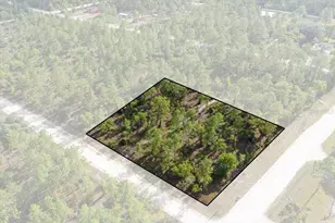 0000 NE 132 Terrace Lot 1 Terrace, Williston, FL 32696 - Photo 1