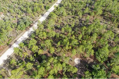 0000 NE 132 Terrace Lot 2 Terrace, Williston, FL 32696 - Photo 5