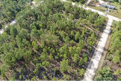 0000 NE 132 Terrace Lot 2 Terrace, Williston, FL 32696 - Photo 9