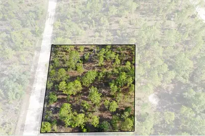 0000 NE 132 Terrace Lot 2 Terrace, Williston, FL 32696 - Photo 1