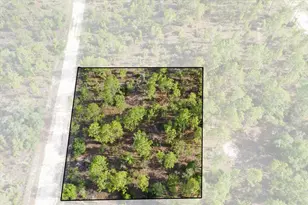0000 NE 132 Terrace Lot 2 Terrace, Williston, FL 32696 - Photo 1