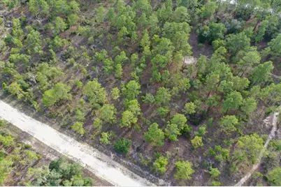 0000 NE 132 Terrace Lot 2 Terrace, Williston, FL 32696 - Photo 3