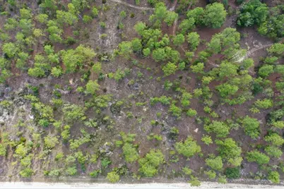 0000 NE 132 Terrace Lot 3 Terrace, Williston, FL 32696 - Photo 9