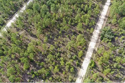 0000 NE 132 Terrace Lot 3 Terrace, Williston, FL 32696 - Photo 7