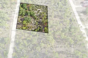 0000 NE 132 Terrace Lot 4 Terrace, Williston, FL 32696 - Photo 1