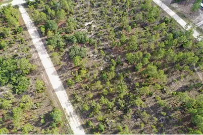0000 NE 132 Terrace Lot 4 Terrace, Williston, FL 32696 - Photo 3