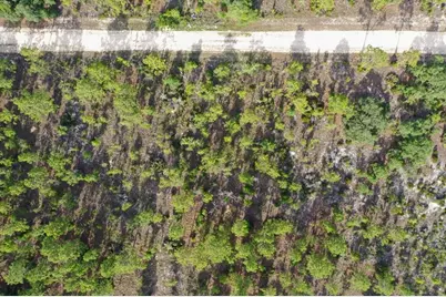 0000 NE 132 Terrace Lot 4 Terrace, Williston, FL 32696 - Photo 9