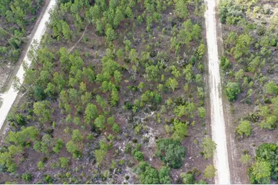 0000 NE 132 Terrace Lot 4 Terrace, Williston, FL 32696 - Photo 5