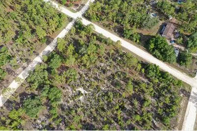 0000 NE 132 Terrace Lot 5 Terrace, Williston, FL 32696 - Photo 9