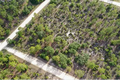 0000 NE 132 Terrace Lot 5 Terrace, Williston, FL 32696 - Photo 3