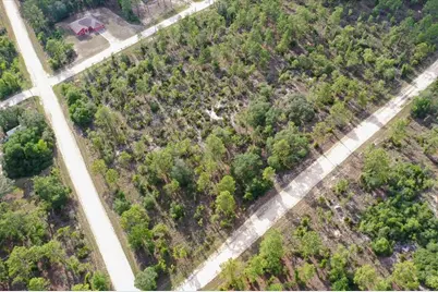 0000 NE 132 Terrace Lot 5 Terrace, Williston, FL 32696 - Photo 5