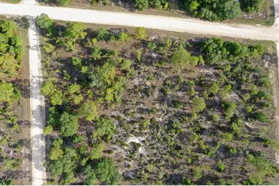 0000 NE 132 Terrace Lot 5 Terrace, Williston, FL 32696 - Photo 11