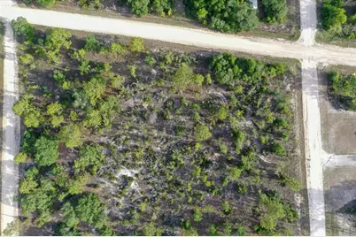 0000 NE 131 Terrace Lot 6 Terrace, Williston, FL 32696 - Photo 9