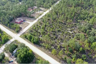 0000 NE 131 Terrace Lot 6 Terrace, Williston, FL 32696 - Photo 5
