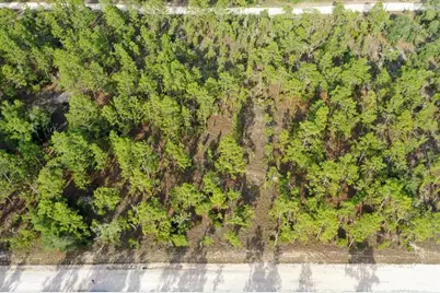 0000 NE 131 Lot 7 Terrace, Williston, FL 32696 - Photo 3