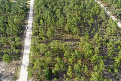 0000 NE 131 Lot 7 Terrace, Williston, FL 32696 - Photo 5