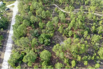 0000 NE 131 Lot 9 Terrace, Williston, FL 32696 - Photo 7