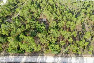 0000 NE 131 Lot 9 Terrace, Williston, FL 32696 - Photo 9