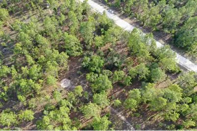 0000 NE 131 Lot 9 Terrace, Williston, FL 32696 - Photo 3
