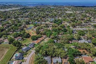 260 Arbor Glen Dr, Palm Harbor, FL 34683 - Photo 39