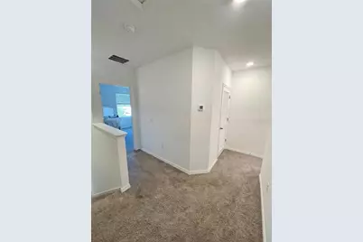 32599 Turtle Grace Loop, Wesley Chapel, FL 33545 - Photo 11