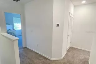 32599 Turtle Grace Loop, Wesley Chapel, FL 33545 - Photo 11