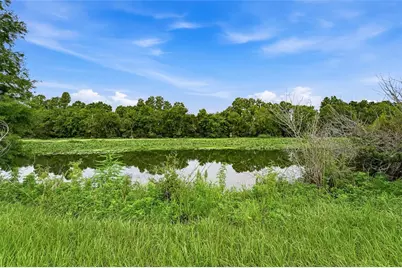 10734 Osprey Landing Way, Thonotosassa, FL 33592 - Photo 43