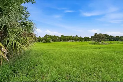 10734 Osprey Landing Way, Thonotosassa, FL 33592 - Photo 45