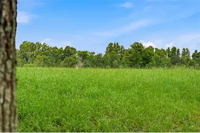 10734 Osprey Landing Way, Thonotosassa, FL 33592 - Photo 49