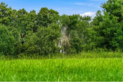 10734 Osprey Landing Way, Thonotosassa, FL 33592 - Photo 59