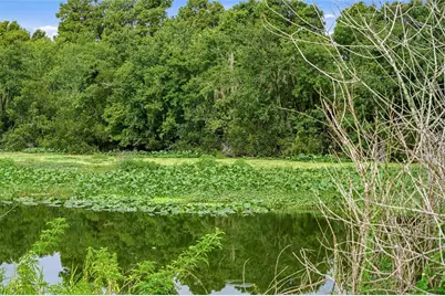 10734 Osprey Landing Way, Thonotosassa, FL 33592 - Photo 55
