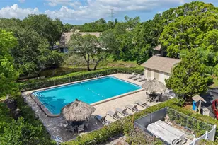 3419 Annette Ct, Clearwater, FL 33761 - Photo 35