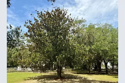 11215 Russell Drive, Seffner, FL 33584 - Photo 5