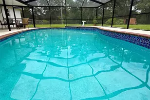 11215 Russell Dr, Seffner, FL 33584 - Photo 79