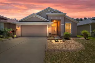 13804 Sigler St, Riverview, FL 33579 - Photo 1