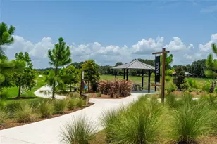 3520 Maple Grv Wy, Plant City, FL 33565 - Photo 53