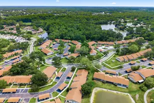 20 Evelyn Ct, Oldsmar, FL 34677 - Photo 51