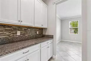 25057 Lambrusco Loop, Lutz, FL 33559 - Photo 17