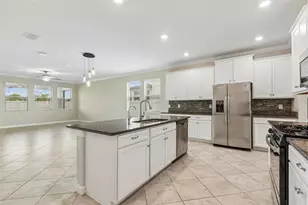 25057 Lambrusco Loop, Lutz, FL 33559 - Photo 13