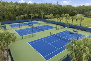20105 Outpost Point Dr, Tampa, FL 33647 - Photo 87