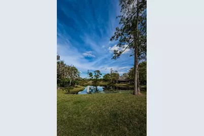 80 Summerwinds Lane, Oldsmar, FL 34677 - Photo 49
