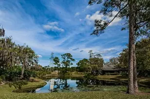 80 Summerwinds Ln, Oldsmar, FL 34677 - Photo 49