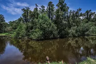 80 Summerwinds Ln, Oldsmar, FL 34677 - Photo 43