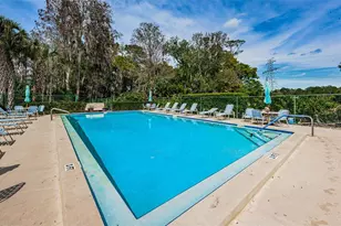 80 Summerwinds Ln, Oldsmar, FL 34677 - Photo 51