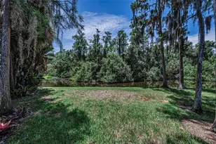 80 Summerwinds Ln, Oldsmar, FL 34677 - Photo 37