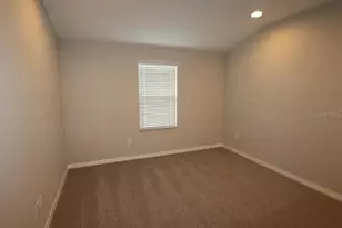 29897 Southwell Ln, Wesley Chapel, FL 33543 - Photo 19
