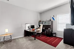 13826 Moonstone Canyon Dr, Riverview, FL 33579 - Photo 43
