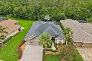 23639 Gracewood Cir, Land O Lakes, FL 34639 - Photo 49